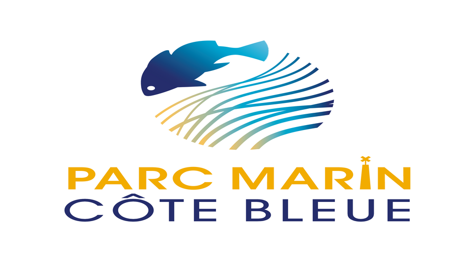 Spirographe - Parc Marin de la Côte Bleue