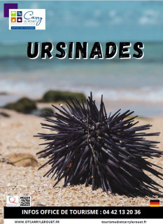 Les Oursinades