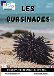 Les Oursinades