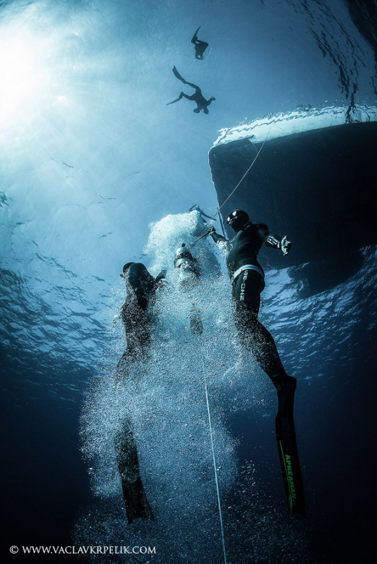 Freediving at sea - discovery and initiation