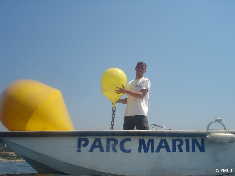 Découvrir les Réserves Marines