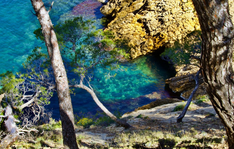 Explorer