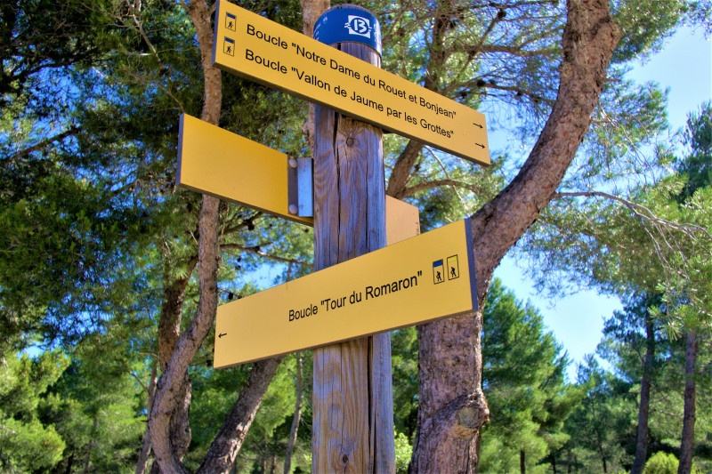 Hiking routes and maps