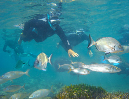 Activités du Parc Marin de la Côte Bleue