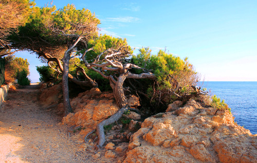 Le sentier du Lézard