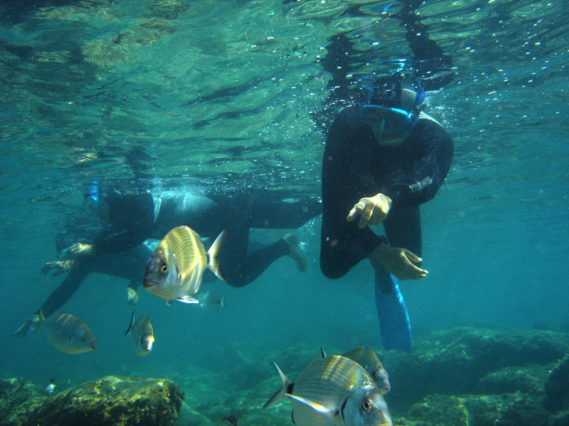 Visites aquatiques et Ateliers