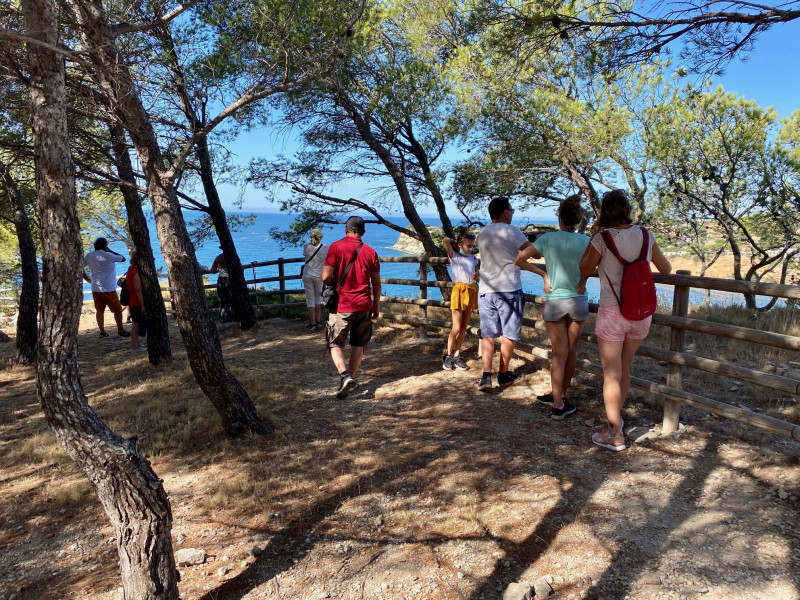 Walks and hikes