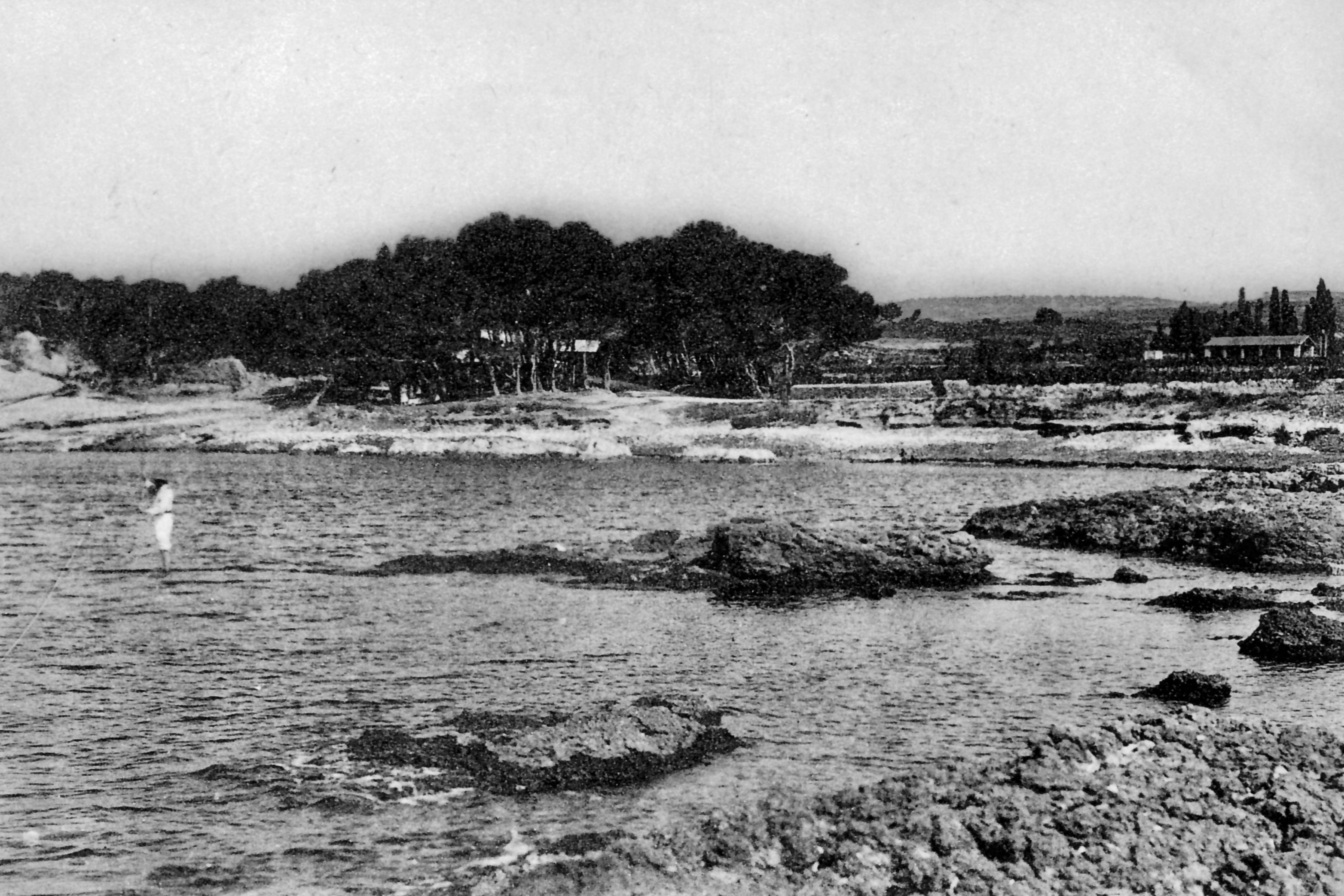 14-la-tuili-re-par-le-sentier-du-l-zard-9636