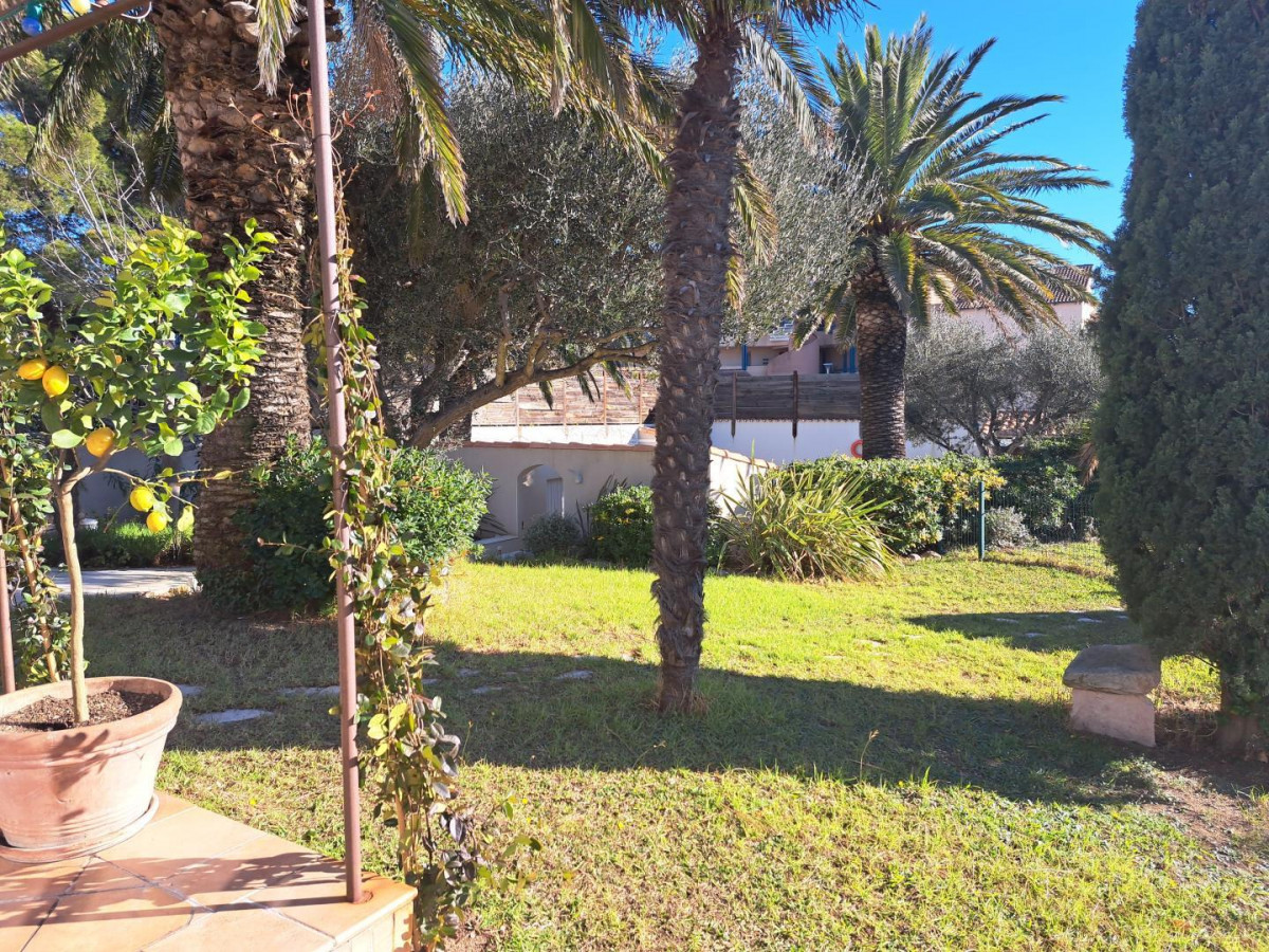 Le Jardin et ses palmiers