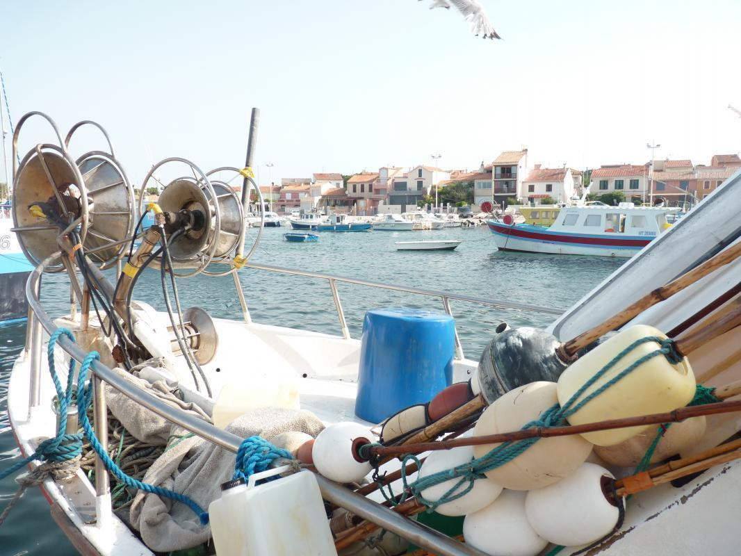 Chalut au port de Carro