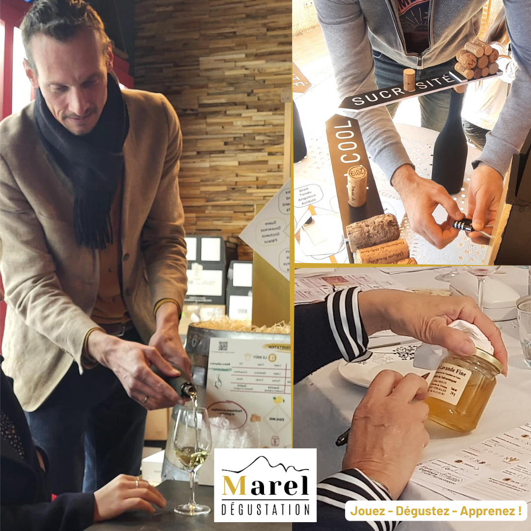 MAREL Dégustation_Carry-le-Rouet