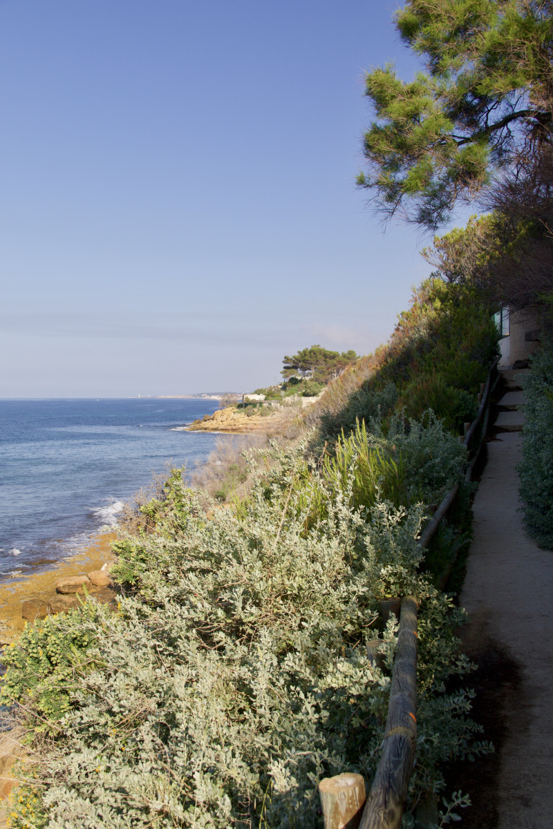 sentier_du_lezard_et_plage_fernandel_frank_devos_15.jpeg