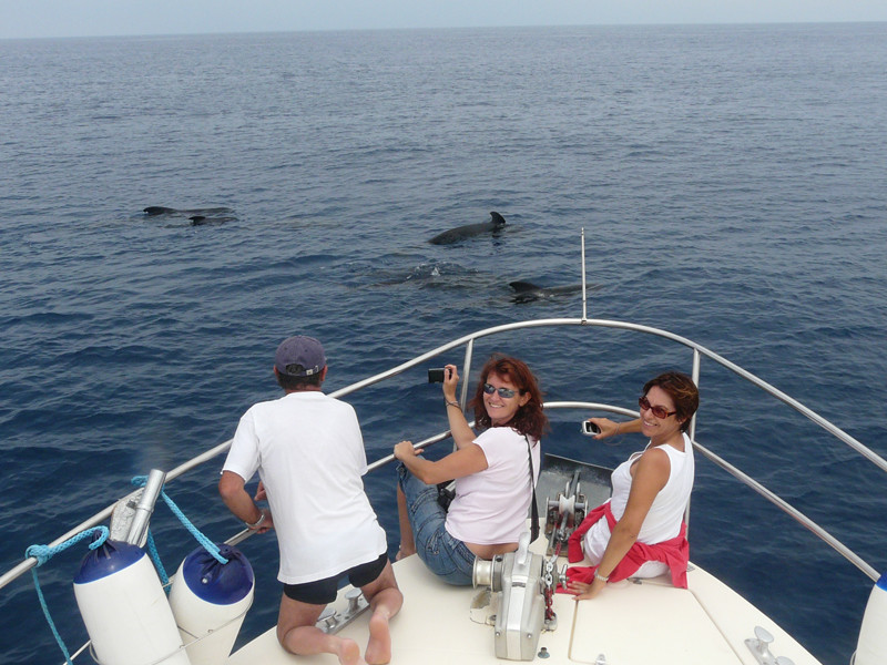 Cobra 2_Carry-le-Rouet