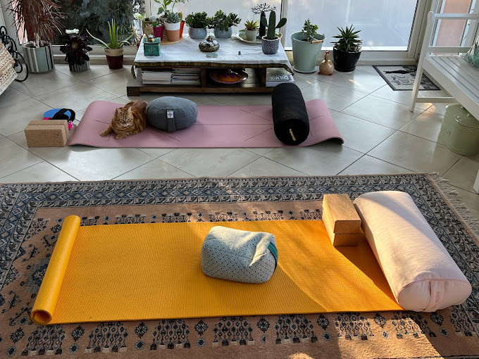 Vibration L_Carry-le-Rouet