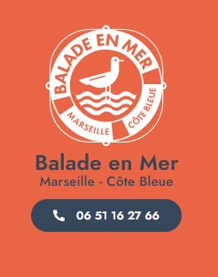 Balade en mer avec skipper sur la Côte Bleue_Carry-le-Rouet