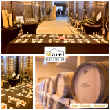 MAREL Dégustation_Carry-le-Rouet