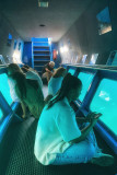 sortie_ot_croisiere_cote_bleue_3.jpg
