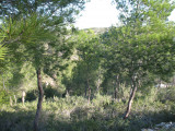 randonnees_credit_photo_jean_luc_caparros_11.jpg