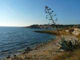 13VIS002127_2_HD.jpg
