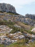 13VIS003224_1_HD.jpg