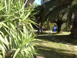 Le jardin