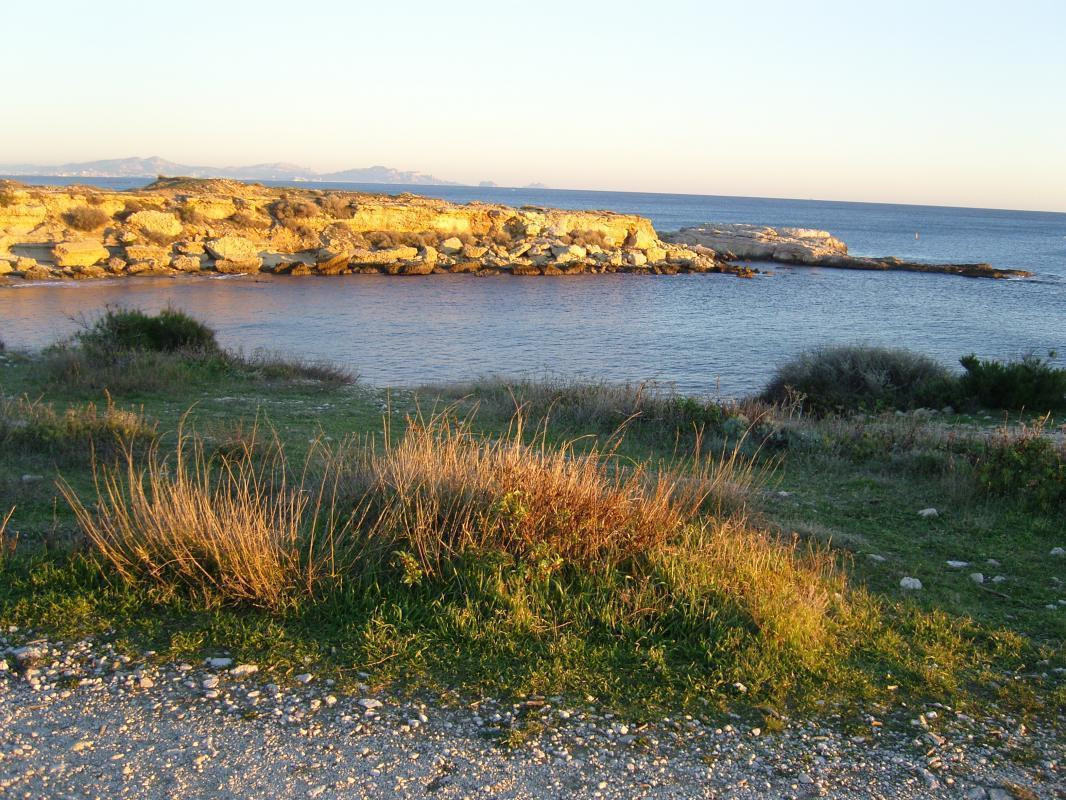 Le long du GR sur la côte bleue