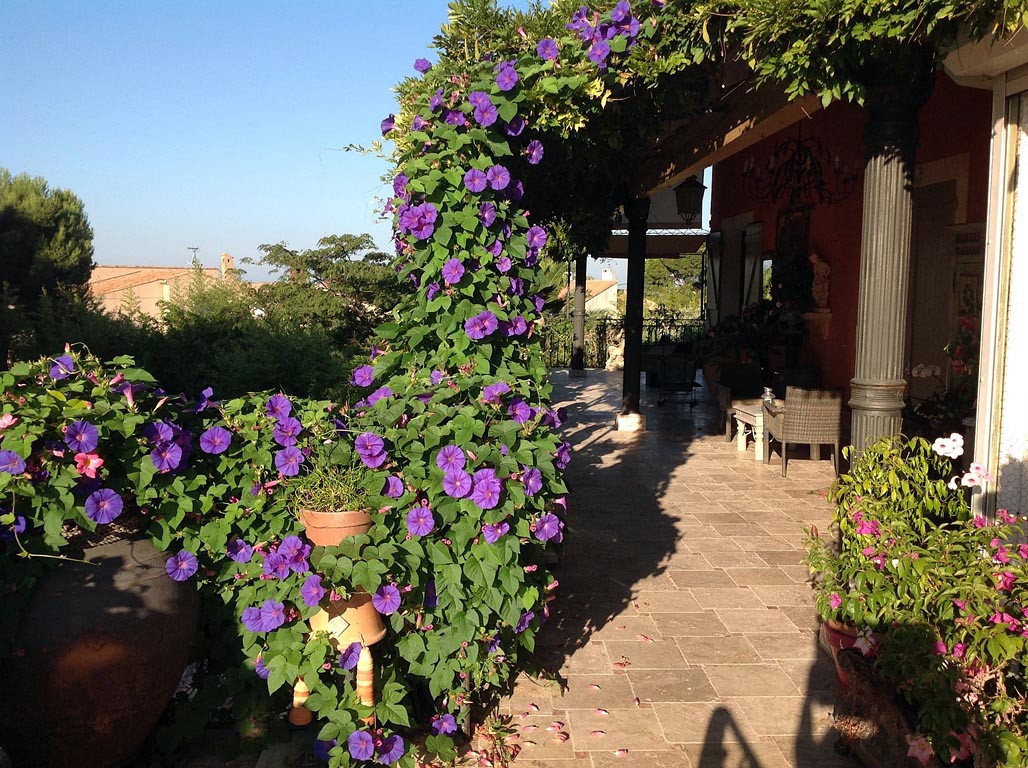 Chambres d'hôtes Iris et Oiseaux - Parc Bellevue_Carry-le-Rouet