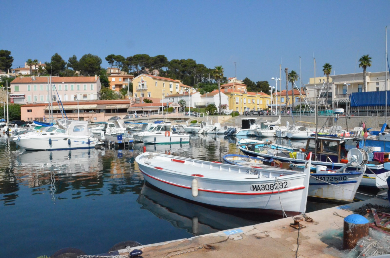 port4.jpg