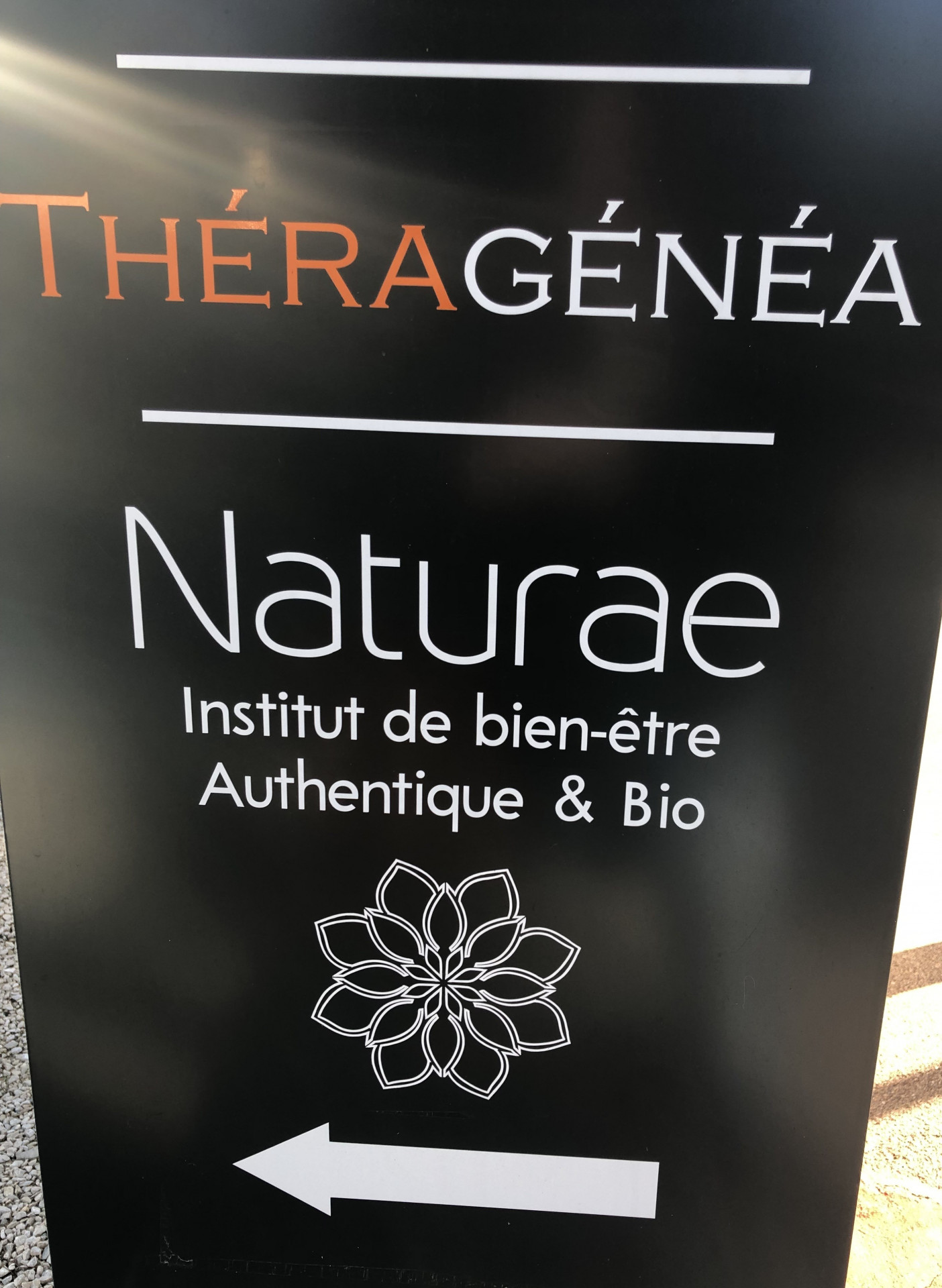 naturae_3.jpeg