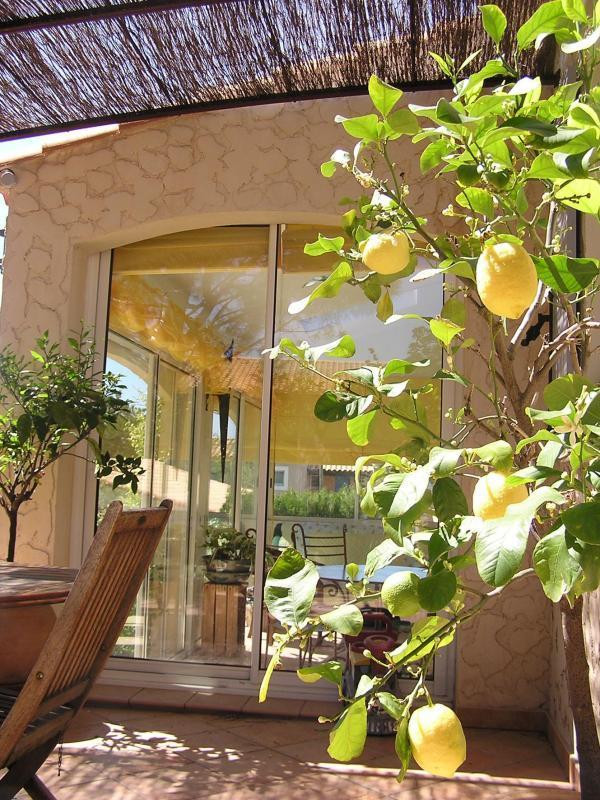 Notre citronniers