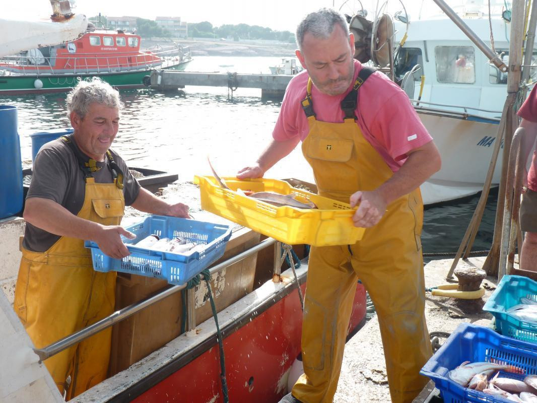 Retour de pêche à Carro