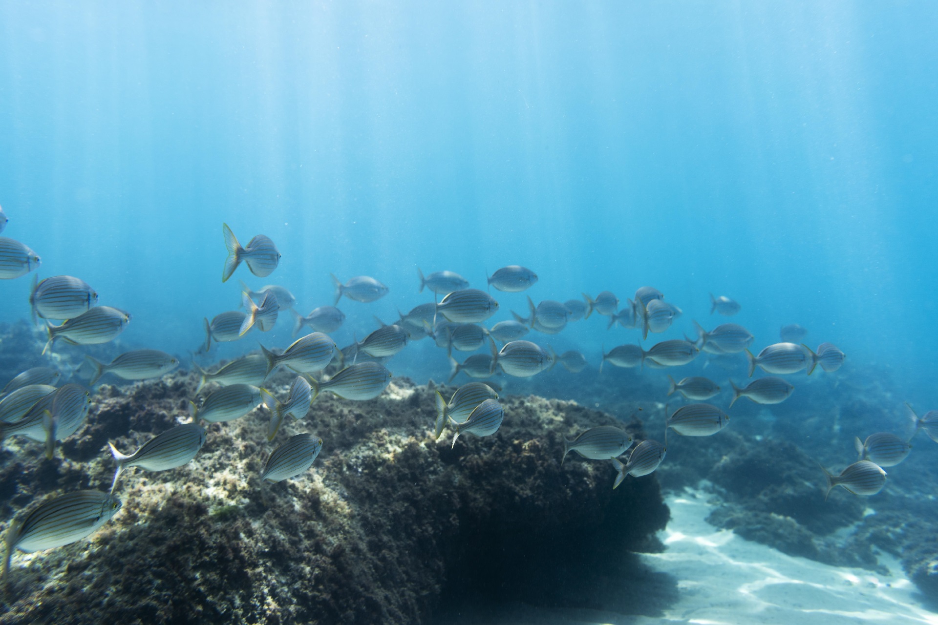 ocean-view-water-1308