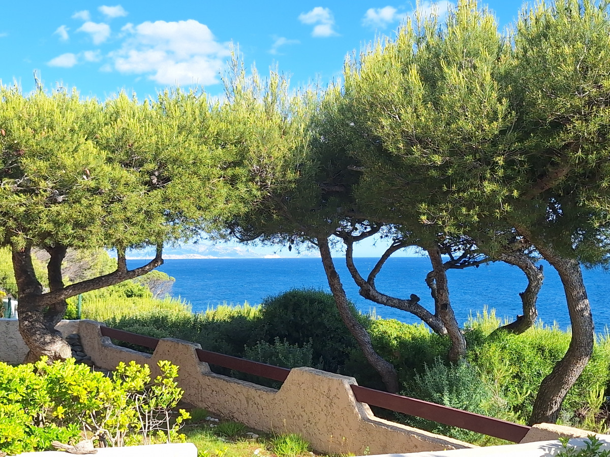 la_vue_a_gauche.jpg