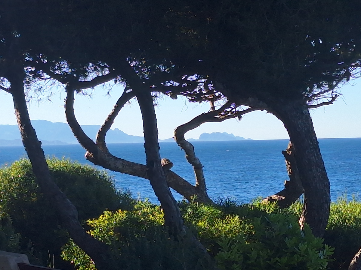 marseille_au_loin.jpg