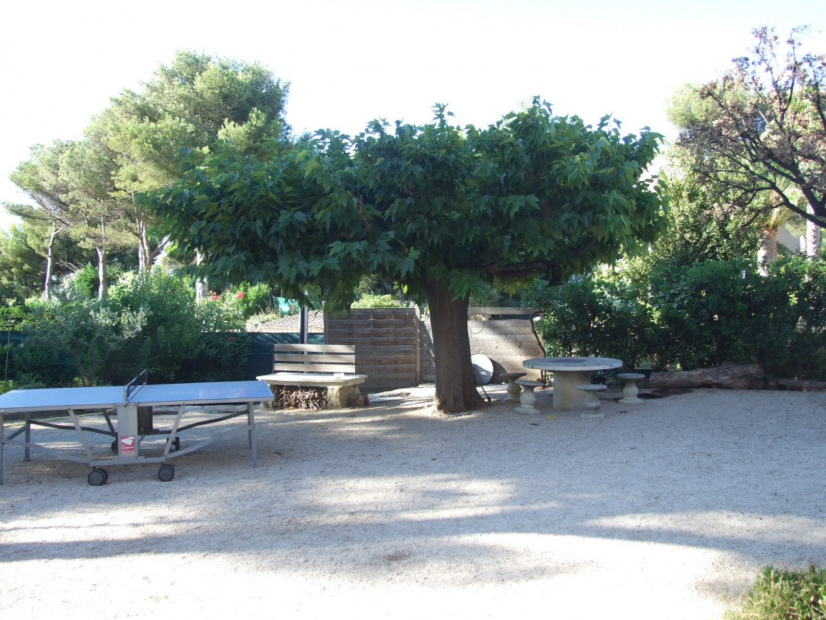 jardin
