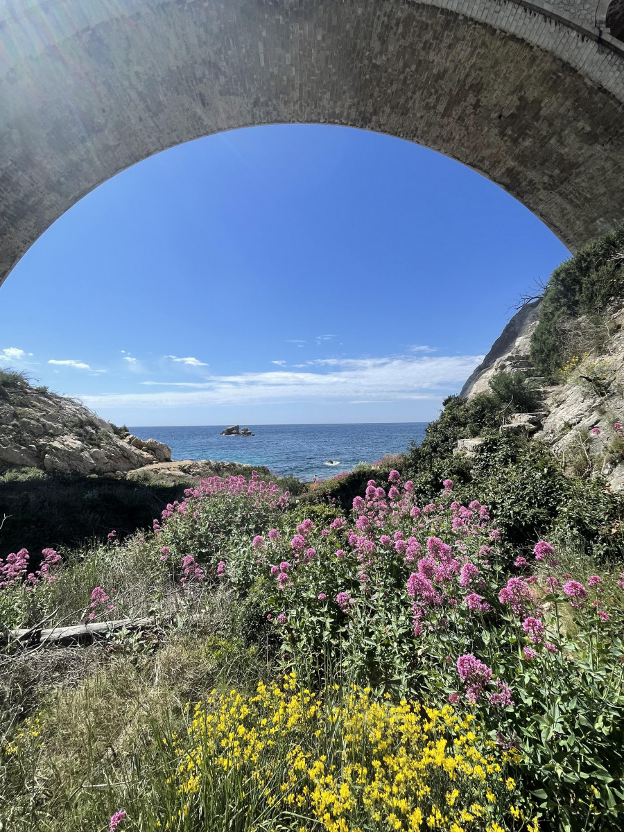 Randonnée flore d'automne et patrimoine septembre_Carry-le-Rouet