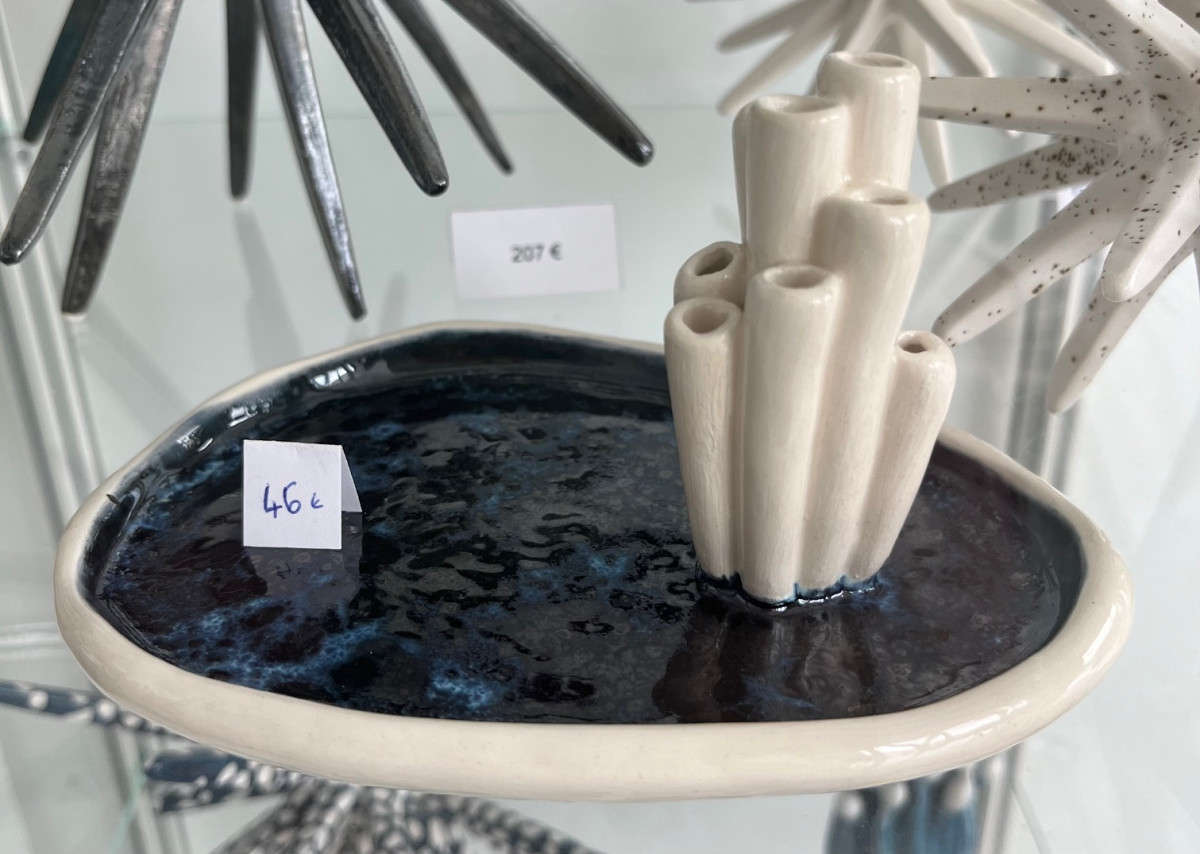 coupelle-corail-bleu-7665