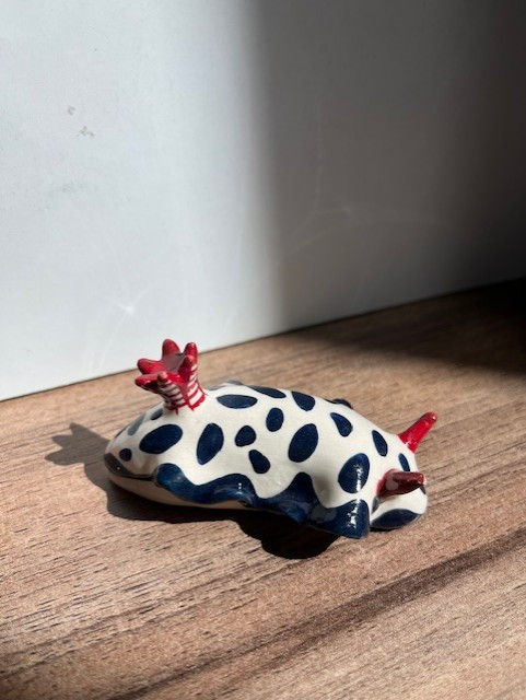 nudibranche-bleu-blanc-rouge-9042