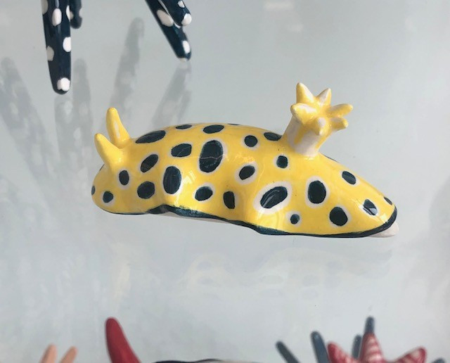 nudibranche-jaune-points-bleus-33-5394
