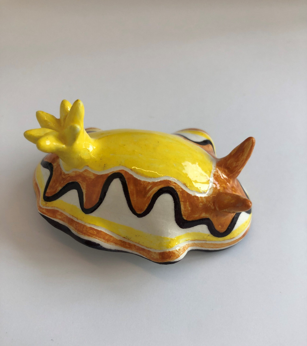 nudibranche-orange-jaune-21-3979