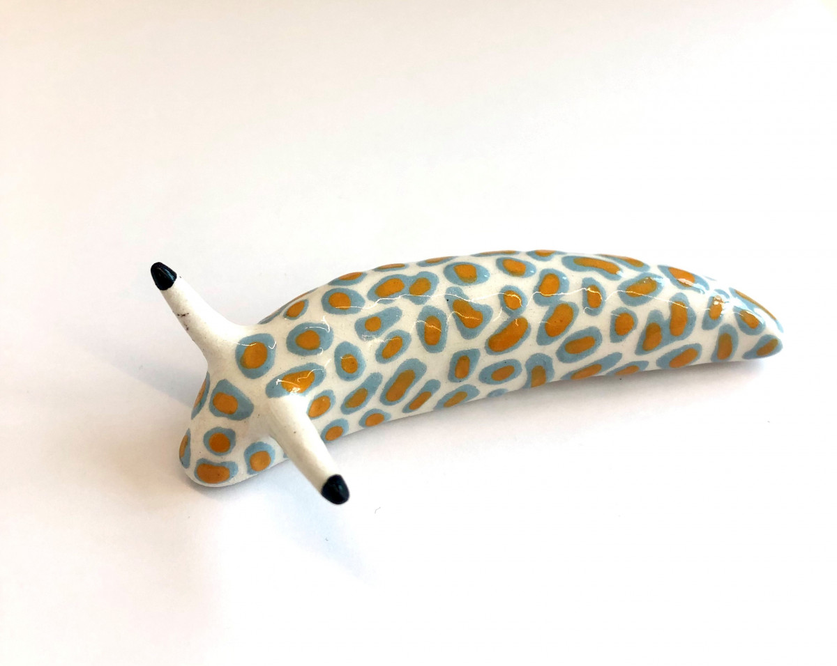nudibranche-pois-orange-bleu-14-3985