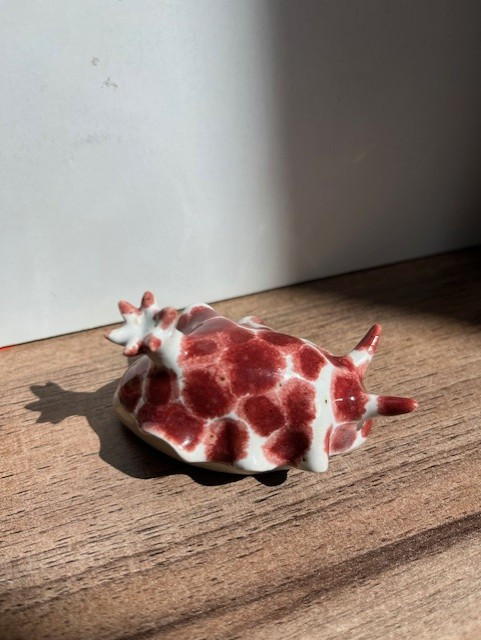 nudibranche-rouge-blanc-9045