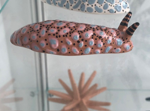 nudibranche-terracotta-points-bleu-rose20-5392