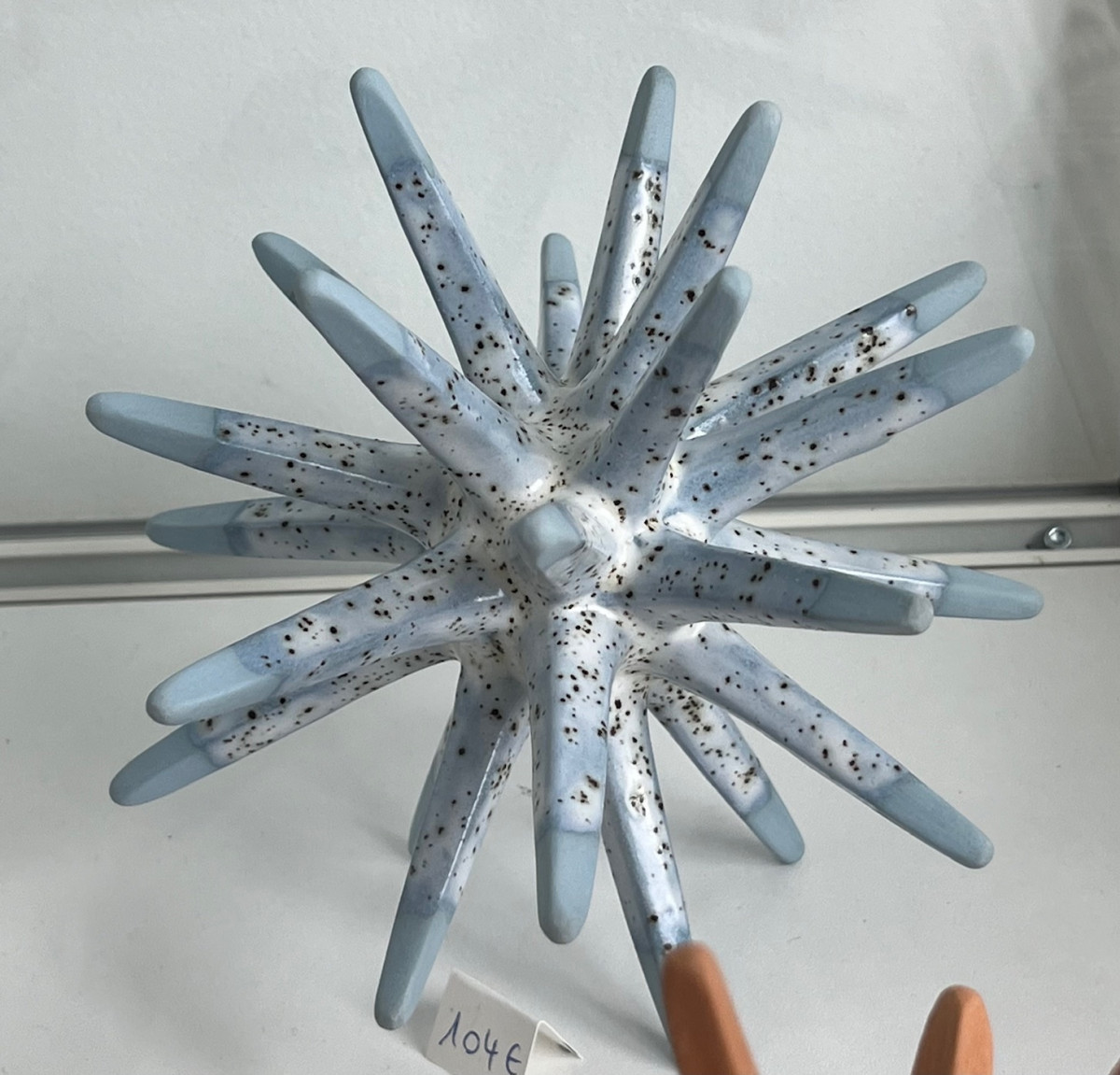 oursin-pointes-bleu-ciel-7669