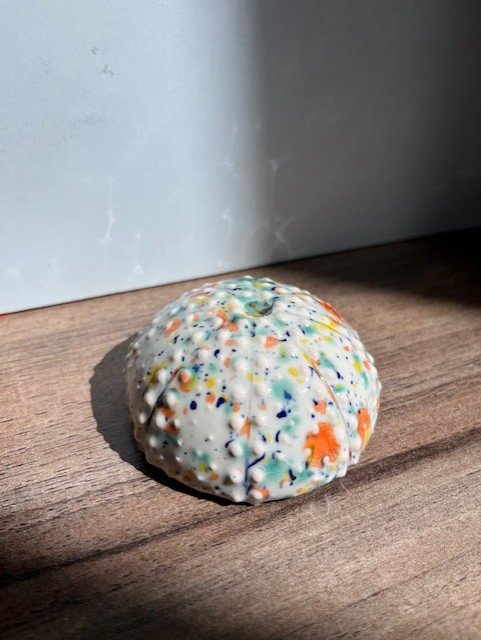 oursin-sans-pique-multicolore-9043