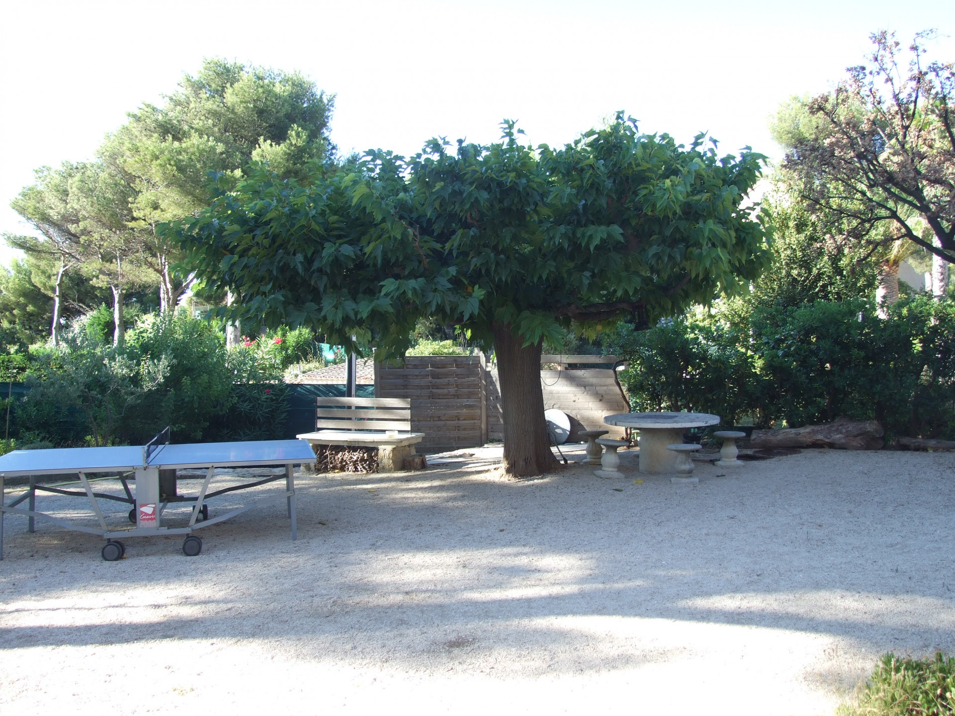 jardin