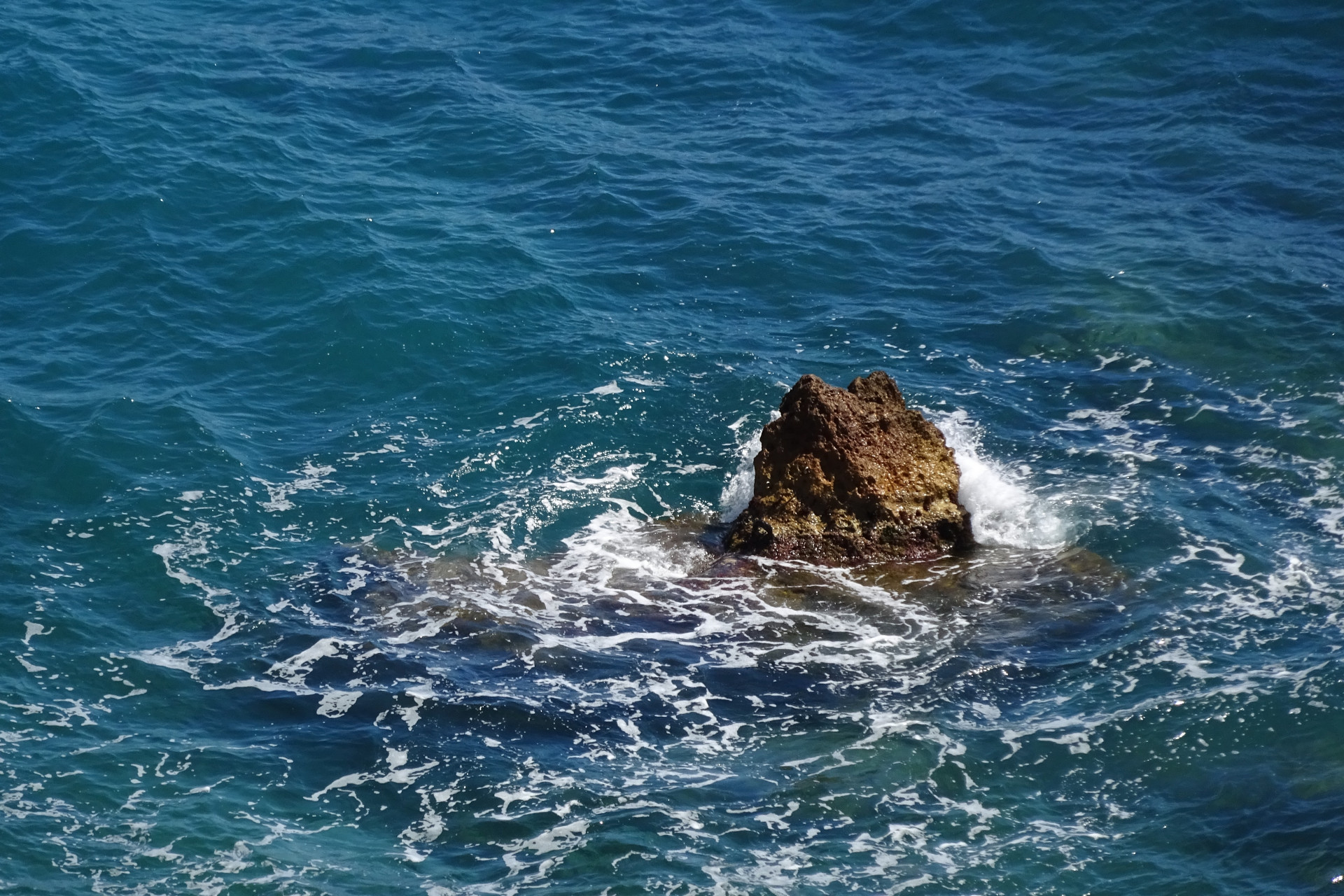 dsc00225.jpeg
