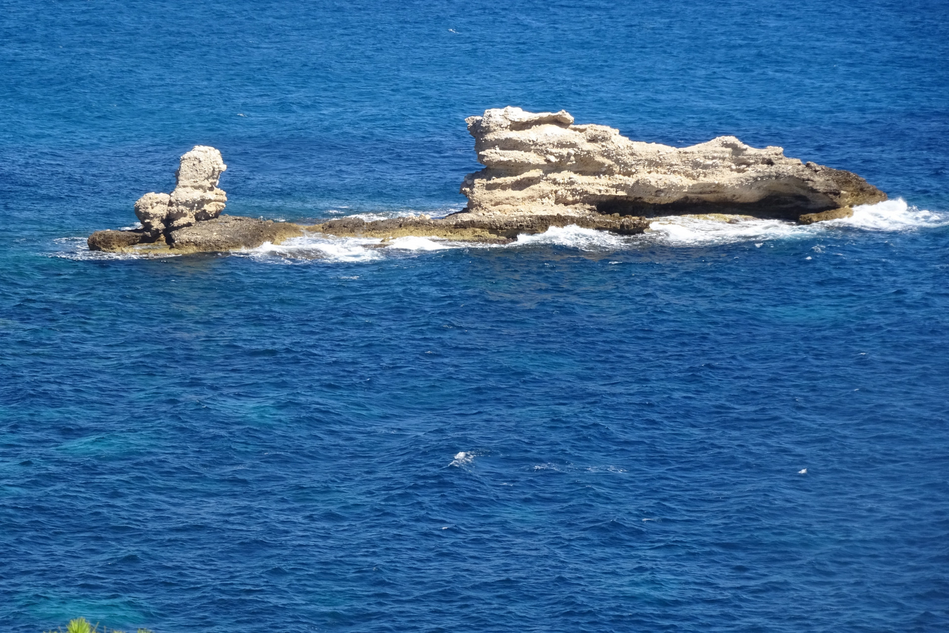 dsc00240.jpeg