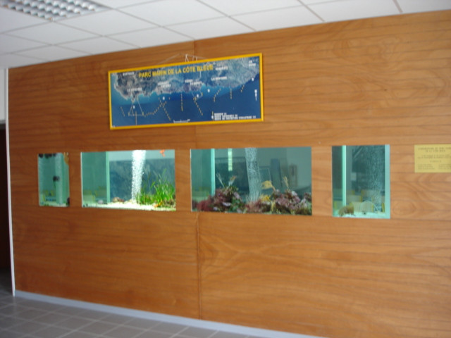 aquarium.jpg