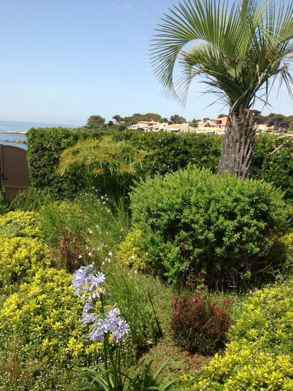 jardin85c1470b_8266_4eef_9c54_8c8236fd0954.jpg